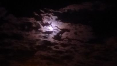 laufeyjarson135's profile picture. Draw a monster. Why is it a monster?