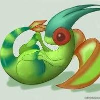 Hodel.. ; a flyer. She also has an interest in books #pokemonRp Rather absent minded this one.. Horror fan. Odd too. @Insanics is her love. #pregnant