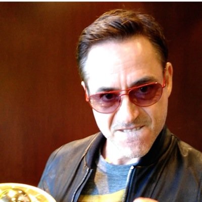 duckling_RDJS's profile picture. You Know Who I Am. @RobertDowneyJr