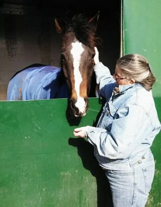 Pagan/Wiccan ~ My partner & I care for rescue animals ~ I got a TBI in a horse riding crash ~ Healer/Witch/Lesbian/Mother
