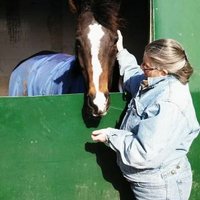 Sheri Dennison (@willowskeepart) Twitter profile photo