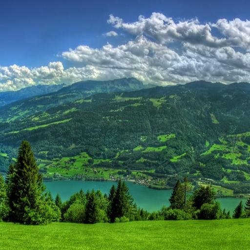 JohnShetty123's profile picture. 