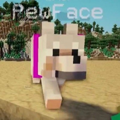 pewface123's profile picture. | official page of pewface (me) | hater of water | @bashurverse 's dog
