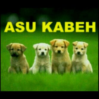 KangAsuu's profile picture. 