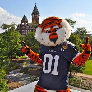 Not saying I hate Alabama, BUT I REALLLY DON'T LIKE THEM. @AuburnU #WarEagle