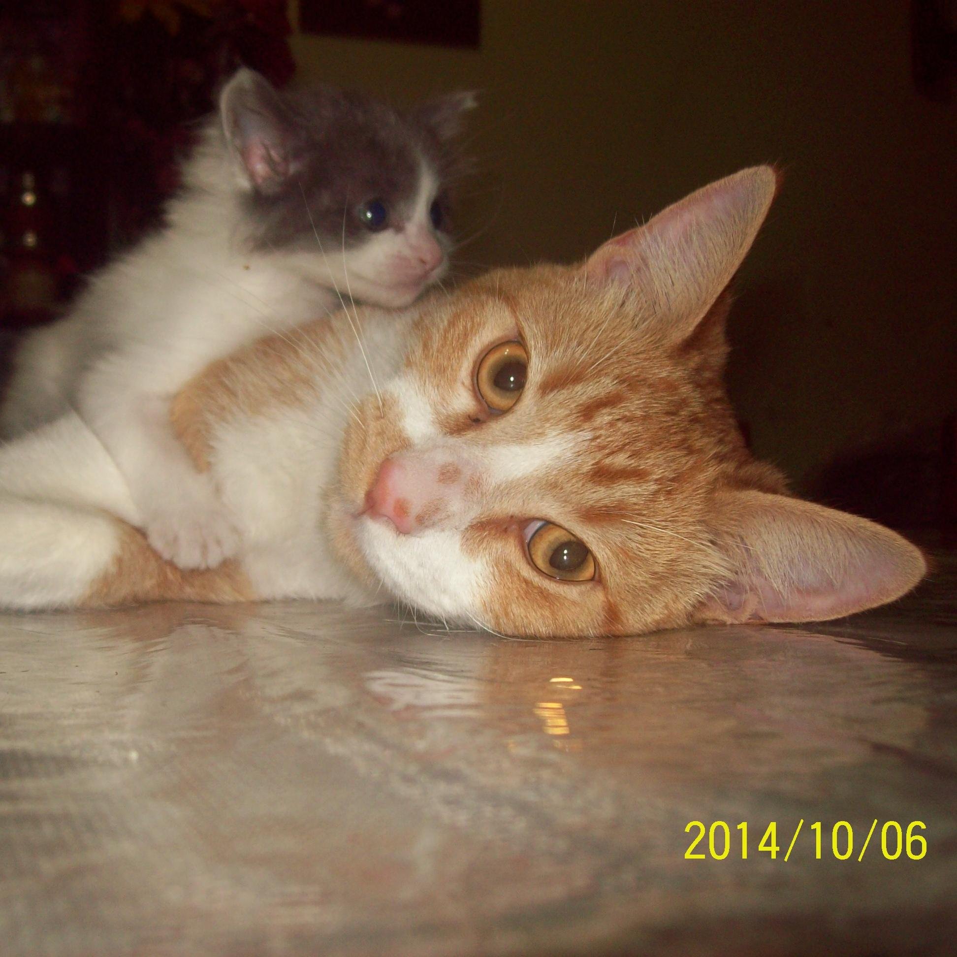 2004Rodri's profile picture. 