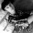 layne_hodge's profile image