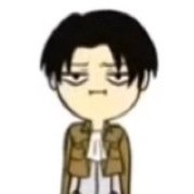 My name is Captian Levi Rivaille and no im not related to Mikasa || RP || single || other account @mcormick2004