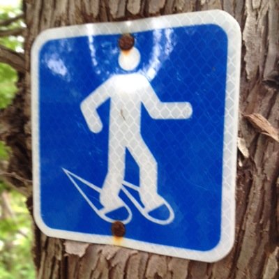 JPNelluc's profile picture. 