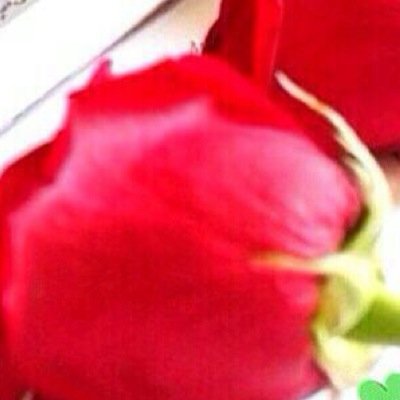 I have never forget you