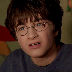 evannalyynch's profile picture. we dont need no education