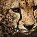 Salma Muñoz Medel - @5NMUNOZM - Twitter