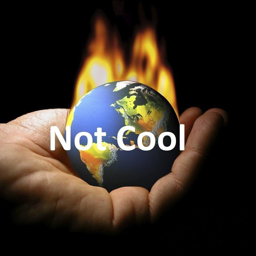Fighting global climate change through individual action