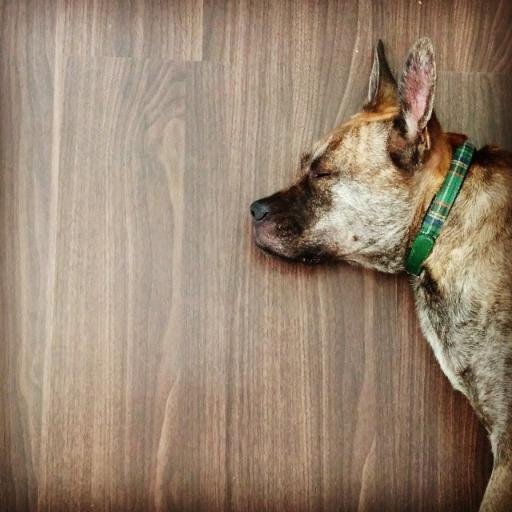 junyeosynthesio's profile picture. All about social media trends, listening, analytics, Asia, Singapore and big data!