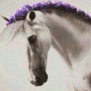 سبحان الله وبحمده,سبحان الله العظيم.