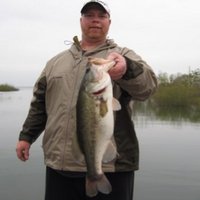 Steve Hunter (@bass4hunt) 's Twitter Profile