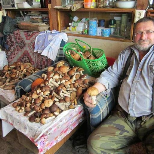 SHolodnyh's profile picture. 