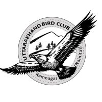 Uttarakhand BirdClub(@uttarakhandbird) 's Twitter Profileg