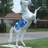 Hardy Elementary Sch Profile