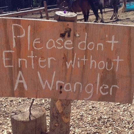 AngryWrangler's profile picture. 