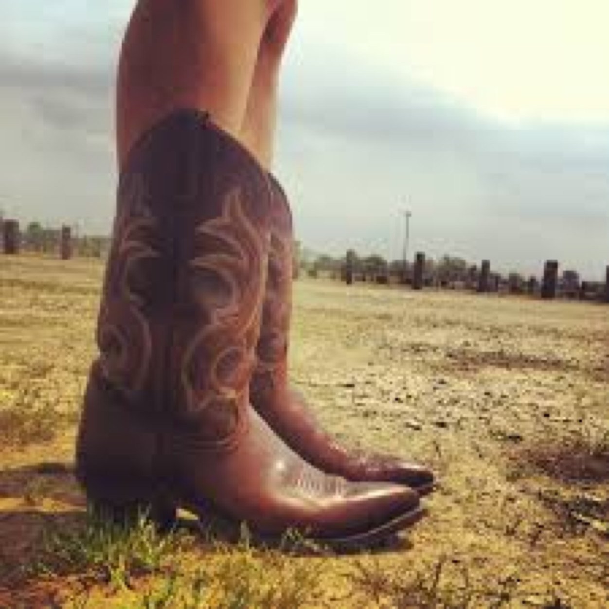 xotattoos's profile picture. Born and raised here in small town USA.