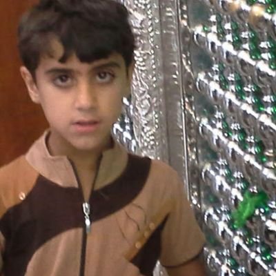 alishallalgyad1's profile picture. 