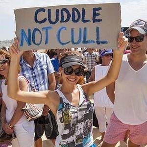Fantasy                                         Naturist/Nudist
Account Keeps Getting Hacked