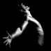 ☆Alber☆ (@el__alber) Twitter profile photo ☆Alber☆ (@el__alber) Twitter profile photo