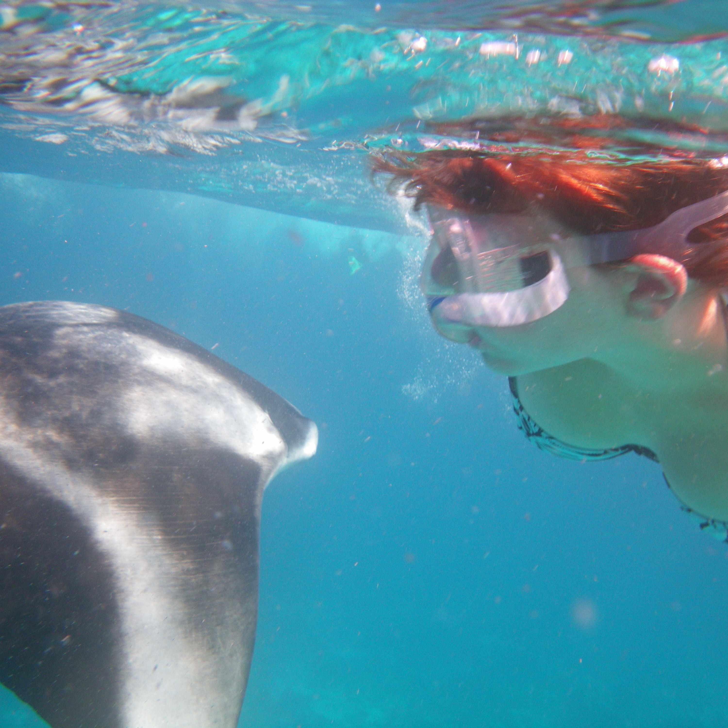 Deep sea marine biologist working at NOC.