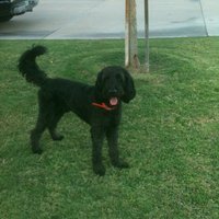Echo  (@echobrown2011) 's Twitter Profile