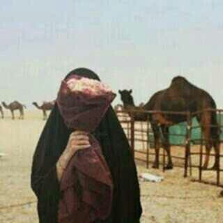 ‏- و كم من نجومِن طاحوا ؟ وش السمّاء .   الخاص مهمل