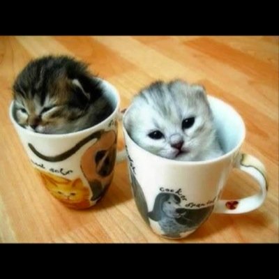 sashandbrooke's profile picture. 