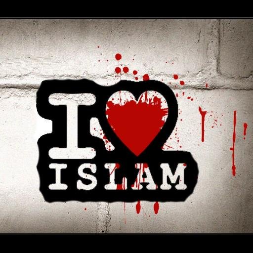 Bimbingan Mahasiswa Muslim dan Alumni (BIMMA)-Komisariat Institut Pertanian Bogor-Berbagi ilmu dan pengalaman