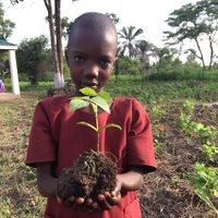Friends of Ibba Girls' School (@ibbafriends) Twitter profile photo