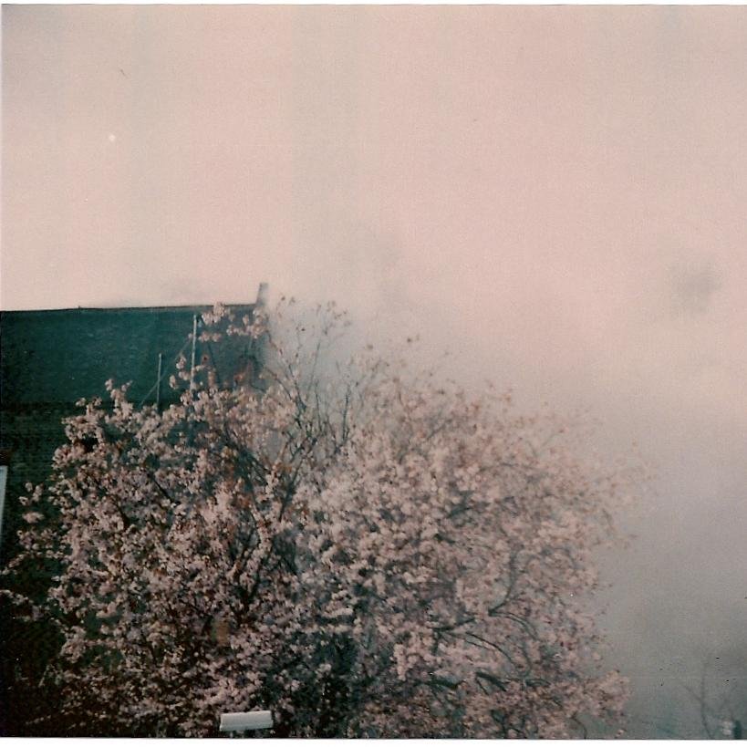 sunexplodes's profile picture. http://t.co/BmAmQKwxaD thesunexplodesblog@gmail.com