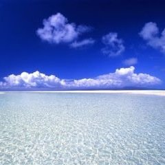 smys_council's profile picture. 大阪府立住吉高等学校