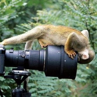 Konuşmadan da birçok şey anlatır fotoğraflar... // İletişim; wowmedyareklam@gmail.com