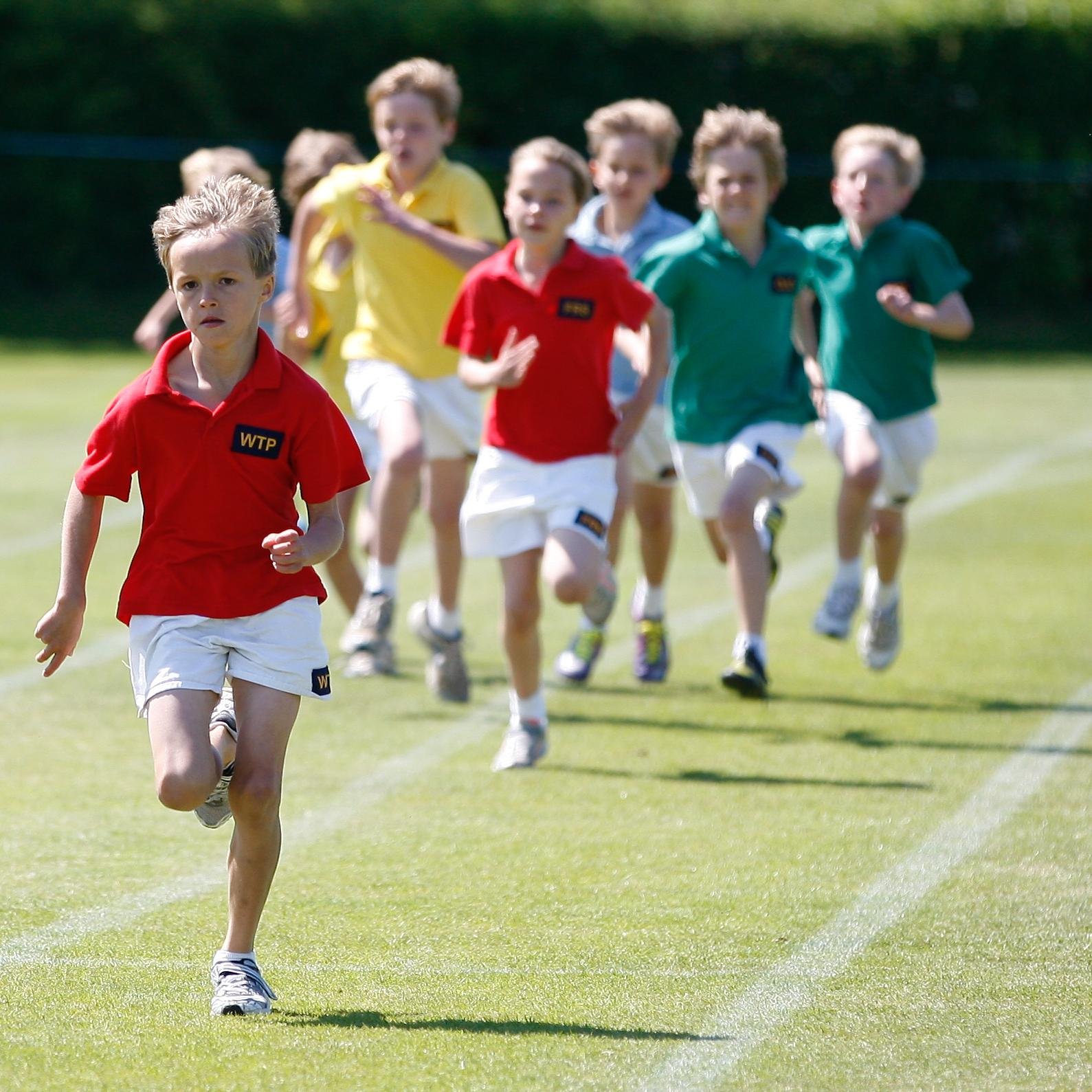 Sport_In_School's profile picture. 