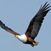Zambia Daily Mail (@zambiadailymail) Twitter profile photo Zambia Daily Mail (@zambiadailymail) Twitter profile photo
