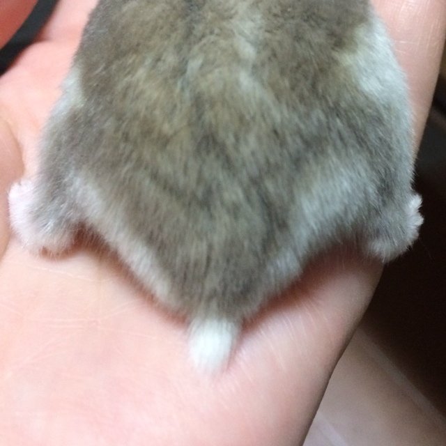 常に眠たい関西人。

遠慮のない関西弁でつぶやきます。