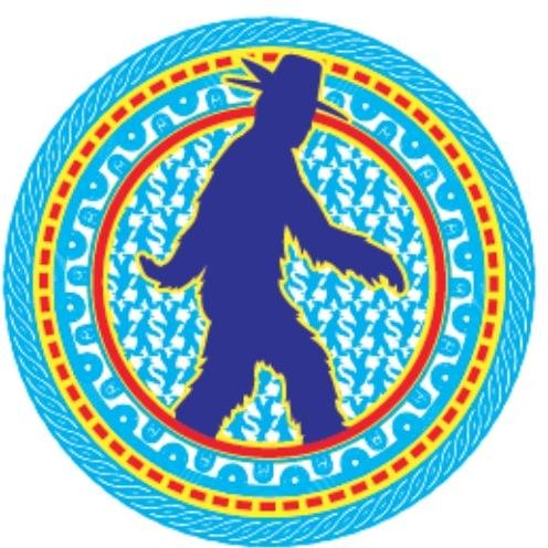 Proceeds go to Native Explorers Foundation to support programs that spark the interest in science and medicine among Native youth.