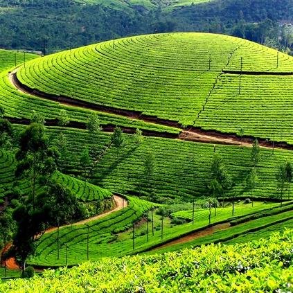 #OotyCottages is one stop information site with details about the local cottages,resorts and tour packages for everyone heading towards to Nilgiris.