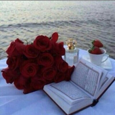 shathexo's profile picture. ومآ آلدنيآ آلا حيآهہ فآنيهہ تؤلمنآ وتبكينآ ثم تتركنآ لحفرهہ من تراب ف يآرب آحسن خآتمتنآ