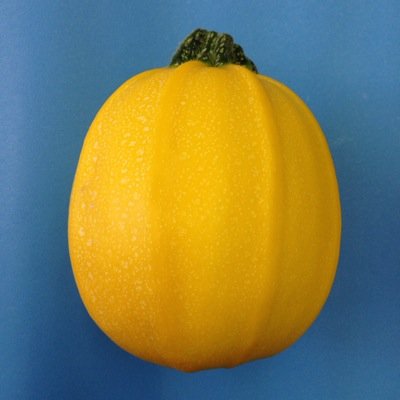 Sol_at_air's profile picture. Working as a Solicitor in East and West Sussex and surrounding areas.