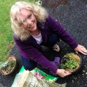 Mary Ann Carper - @handsandhome - Twitter