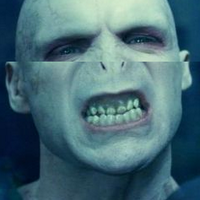 Marble Elephant (@marbleelephant) 's Twitter Profile