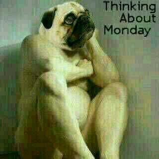 sg_sabelo's profile picture. 