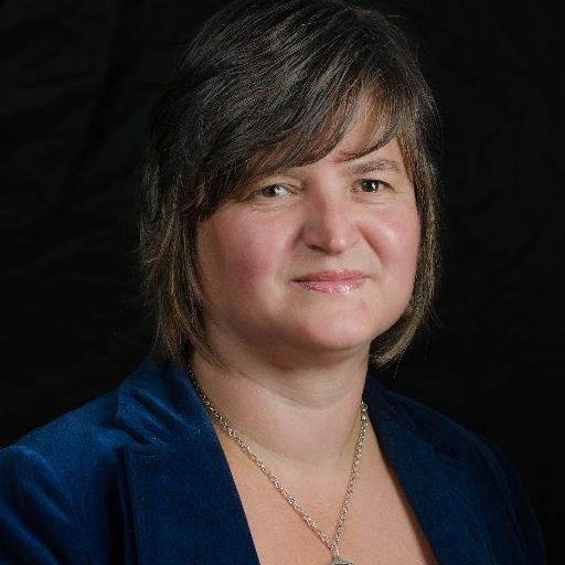 #zoektwerk in Noord NL | online research | vertalen Engels | content management | tekstredactie | onderzoekend | oog voor detail | sociaal | kattenliefhebber