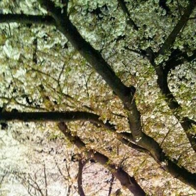 watanabe5018's profile picture. 