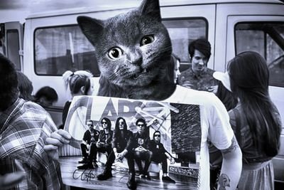 binarynoise_inc's profile picture. 